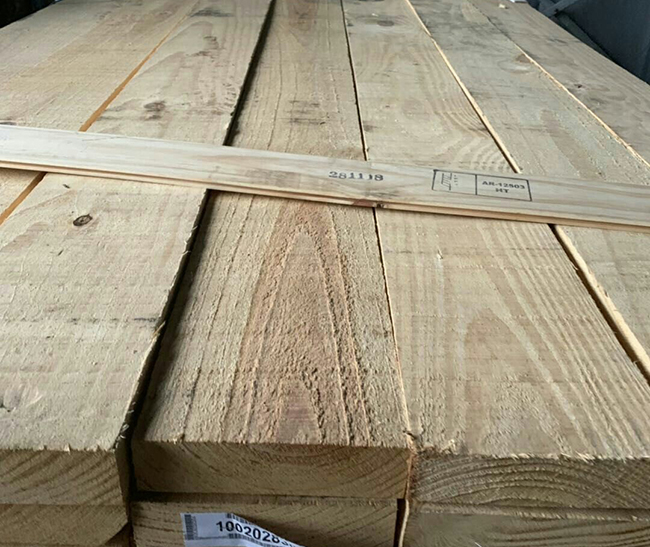 遵义阿根廷松木